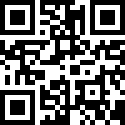 the qr code